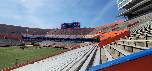 的主力球員 的主力球員