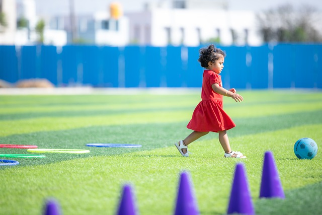 发挥可谓 发挥可谓