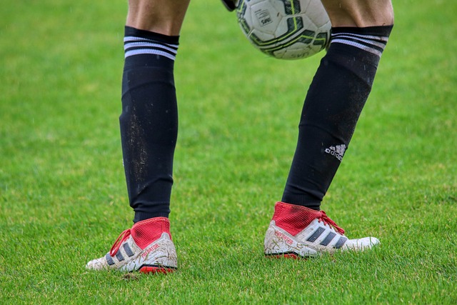 这部集合动 这部集合动