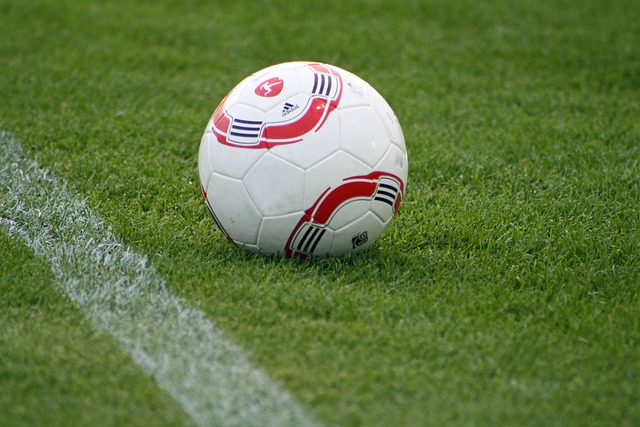 情绪激动 情绪激动